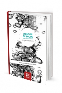 MONTÓN DE ZOCOS. Una ciudad contada